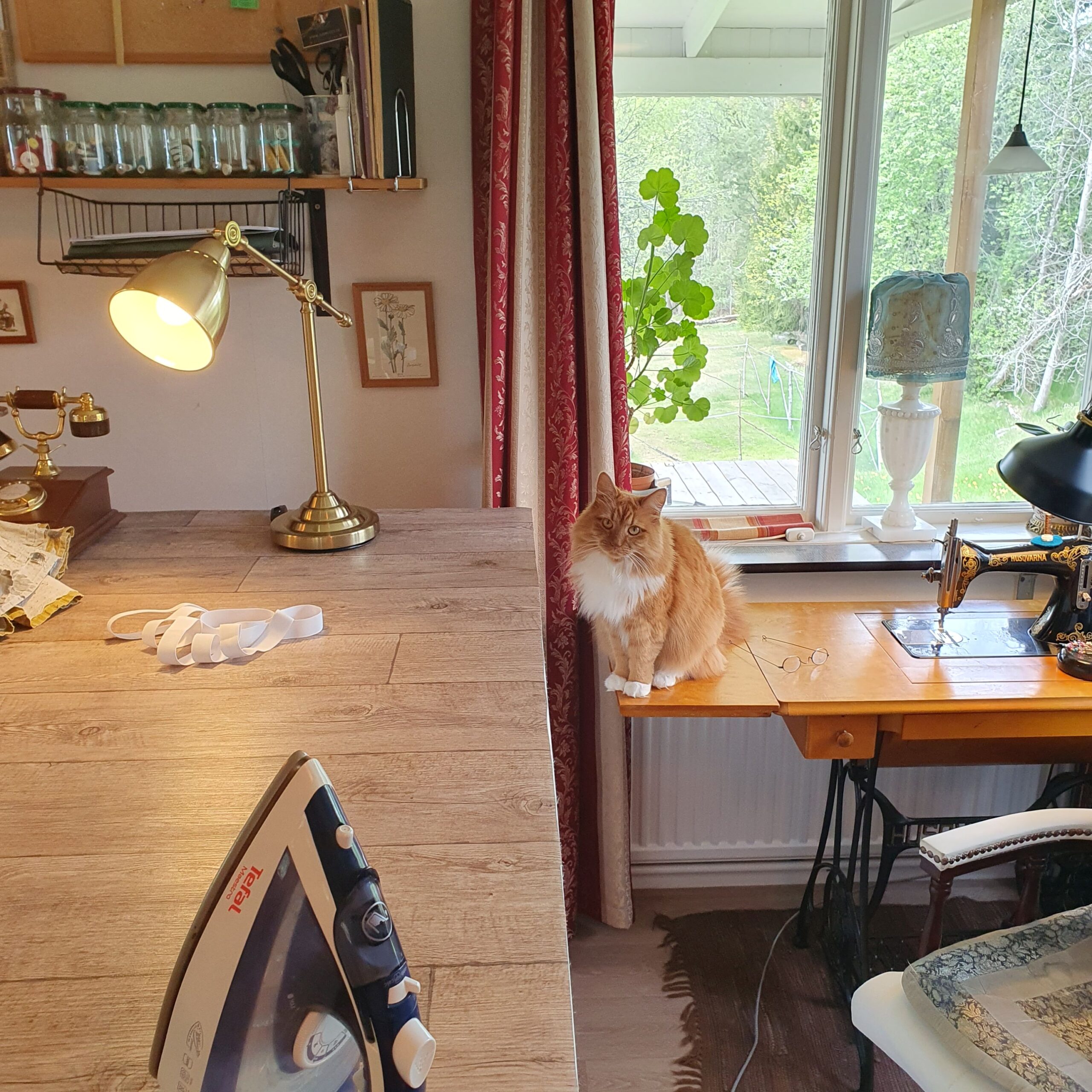 SyrummetpaaBjoerkstugan2.6 Katt gömd i filt